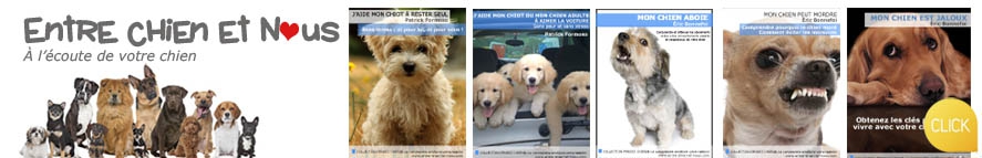 banniere-pour-pb-guide-canins