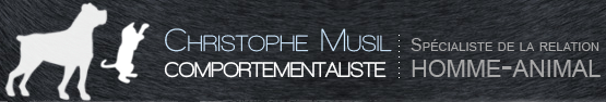 christophe musil