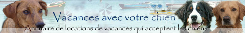 vacances chiens